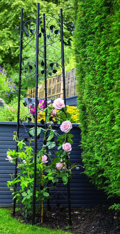 Rose Obelisk, Obelisk Trellis, Cedar Planter Box, Arch Trellis, Garden Obelisk, Cedar Planters, Uk Garden, Love Garden, Gift For A Friend