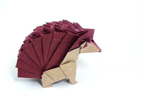 Origami Hedgehogs | Gilad's Origami Page Origami Hedgehog, Paul Jackson, Hedgehogs, Book Show, Origami Paper, Origami, Books