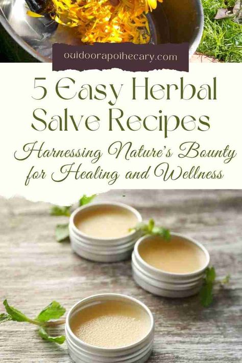 Discover the healing potential of common herbs and weeds with these 5 herbal salve recipes. Crafted from nature's bounty, these remedies offer natural solutions for various ailments. From pine resin to yarrow, antibacterial herbs, and dandelion, learn how to create soothing and nourishing salves for optimal well-being. Explore the transformative power of herbal medicine in this informative blog article. Antibacterial Herbs, Herbal Salve Recipes, Healing Salve Recipe, Herbal Coffee, Pine Resin, Salve Recipes, Smoothie Bowl Healthy, Herbal Salves, Healing Salves