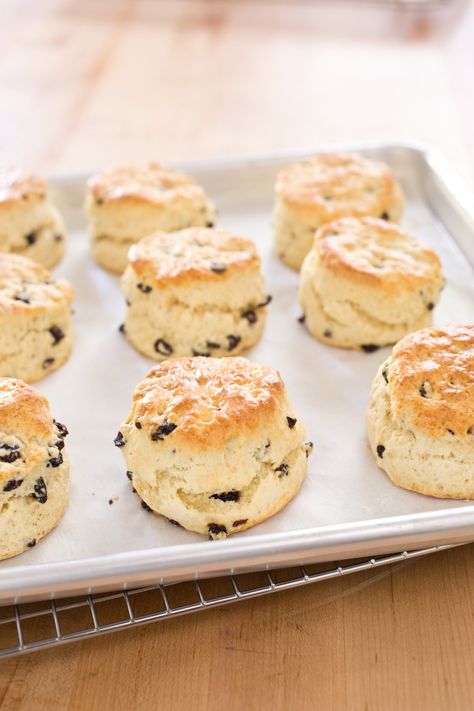 Currant Scones Recipe, Fruit Scones Recipe, Currant Scones, British Scones, British Breakfast, English Scones, Fruit Scones, Chocolate Scones, Scones Recipe Easy