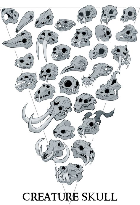 ArtStation - creature skull Arte Doodle, Animal Skeletons, Perfect Tattoo, Skulls Drawing, Creature Artwork, Monster Concept Art, Creature Drawings, 캐릭터 드로잉, Skull Drawing