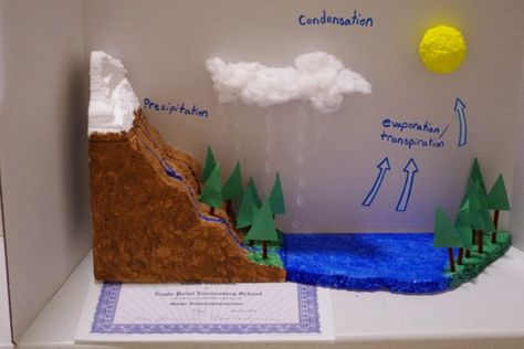 Unexpected Daisies: March 2012 Water Cycle Model, Water Cycle Project, Science Experience, Geography Project, Weather Models, Science Notebooks, Water Projects, Water Cycle, Fair Projects