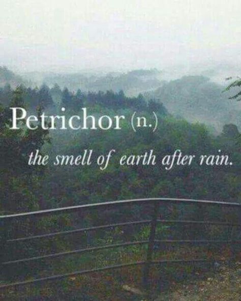 Petrichor - the smell of earth after rain. Citation Nature, Unique Words Definitions, Uncommon Words, After Rain, School Playground, Blue Photo, Weird Words, Unusual Words, Rare Words