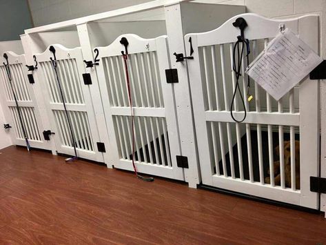 dog room small #dogroomsmall Small Dog Daycare Ideas, Small Dog Boarding Ideas, Dog Grooming Kennel Ideas, In Home Dog Boarding, Dog Grooming Salon Ideas Design, Doggie Daycare Ideas, Dog Boarding Facility Ideas, Dog Grooming Salon Ideas, Dog Daycare Design