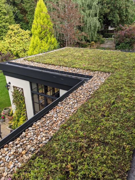 Sedum Roof Extension, Sedum Roof Architecture, Luxurious Rooftop, Green Roof Planting, Roof Plants, Living Green Roof, Green Roof Design, Extensive Green Roof, Green Roof Garden