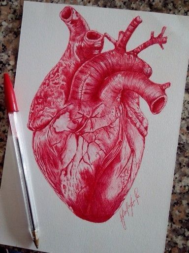 Biro Drawing, Gcse Art Sketchbook, A Level Art Sketchbook, Stile Hijab, Color Drawing Art, Pen Art Drawings, Blood Art, Heart Drawing, Dark Art Drawings