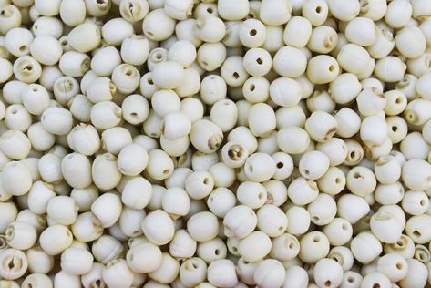 13 Amazing Health Benefits of Lotus Seed Lotus Flower Seeds, Lotus Seeds, Seeds Benefits, Lotus Seed, Food Health Benefits, Healthy Snack Options, Dry Fruit, Baby Soft Skin, Stomach Problems