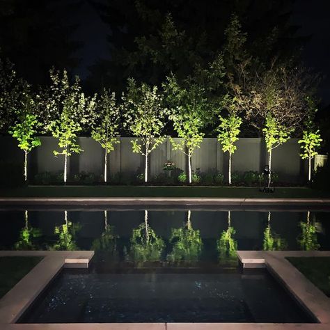 Pool At Night, Privacy Landscaping, Courtyard Gardens Design, Lighting Uk, Spring Nights, Reflecting Pool, Backyard Pool Landscaping, Pool Light, Courtyard Garden