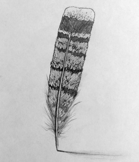 Grouse feather Pheasant Feathers, Feather Tattoo, Game Birds, Feather Tattoos, Nature Tattoos, Half Sleeve Tattoo, Simplistic Tattoos, Wood Gifts, Tattoos And Piercings