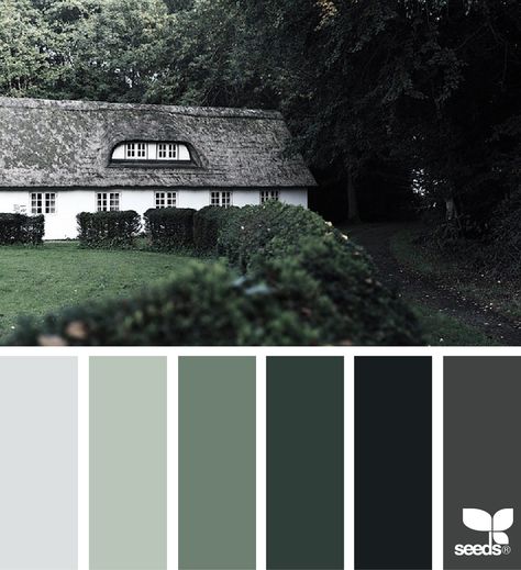 color home | design seeds | Bloglovin’ Today's Inspiration, Exterior Gray Paint, Seeds Color, Color Concept, Black Color Palette, Color Home, Green Palette, Green Paint Colors, Grey Color Palette