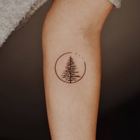 Pine Tree Tattoos, Tree Line Tattoo, Evergreen Tattoo, Geometric Tattoo Tree, Redwood Tattoo, Simple Tree Tattoo, Tree Roots Tattoo, Pine Tattoo, Tree Tattoo Men