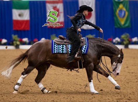 Reining Show Outfit, Ranch Riding Show Outfits, Reining Outfits, Hunter Under Saddle, Working Cow Horse, Ranch Riding, Horse Competition, Horse Reining, Horse Markings