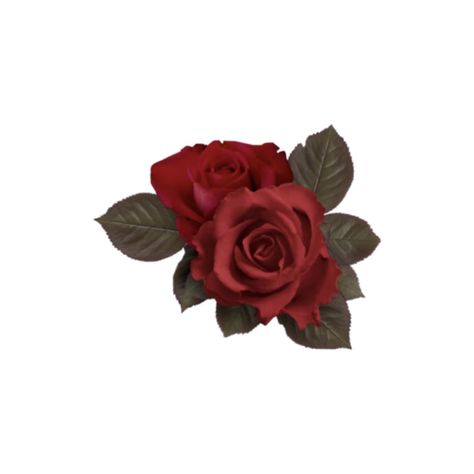 Red Rose Aesthetic, Rose Aesthetic, Aesthetic Png, Floral Stickers, Garden Photos, Red Rose, Instagram Profile, Roses, Green