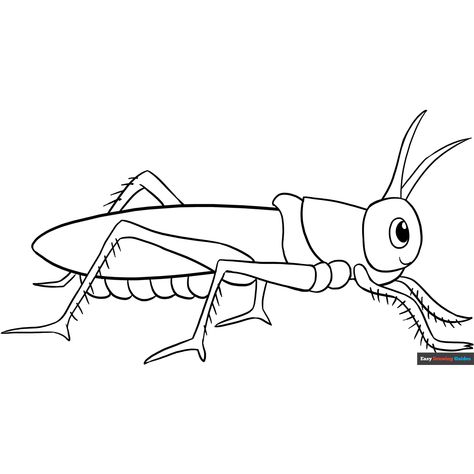 Free Grasshopper Coloring Page for Kids Flower Coloring Sheets, Insect Coloring Pages, Spider Coloring Page, Bug Coloring Pages, Garden Coloring, Garden Coloring Pages, Bee Coloring Pages, Free Printable Coloring Sheets, Drawing Guides