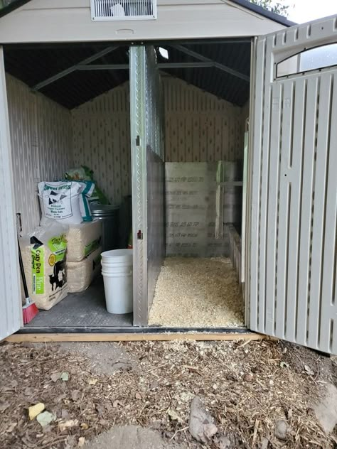 Duck And Chicken Enclosure Ideas, Chicken Coop And Storage Shed, Chicken Coop Out Of Dog Kennel, Resin Shed Chicken Coop, Plastic Shed Chicken Coop, Metal Shed Chicken Coop, Chicken Shed Ideas, Shed Chicken Coop, Chicken Enclosure