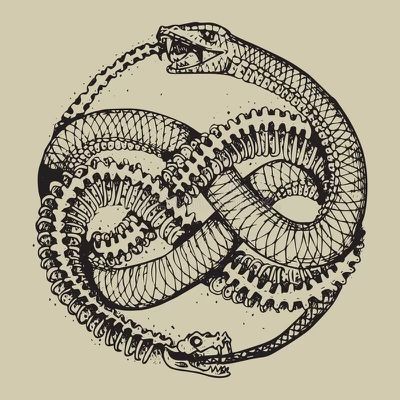 Gordian Knot, Ouroboros Tattoo, Serpent Tattoo, Dark Art Tattoo, Symbol Tattoos, Tattoo Art Drawings, Snake Tattoo, Black Ink Tattoos, A Snake