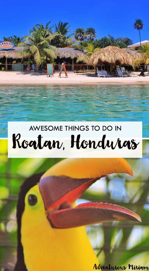 Roatan island is surrounded by the Caribbean Sea, and the waters are filled with corals, starfish, dolphins and other underwater stunners. Here are the most awesome things to do in Roatan, Honduras. Honduras Travel, Roatan Honduras, Costa Maya, Western Caribbean, Tegucigalpa, Central America Travel, Roatan, Cruise Port, Utila