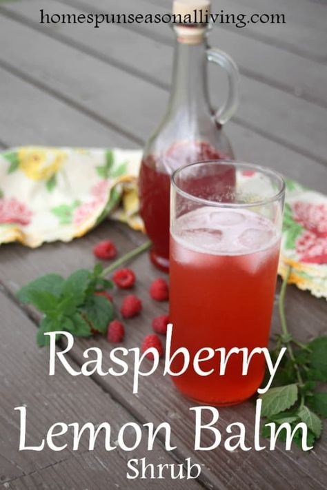 Make a light and refreshing summer drink with this raspberry lemon balm shrub! Lemon Balm Drink Recipes, Drinking Shrubs, Lemon Balm Recipes, Shrub Drink, Shrub Recipe, Seasonal Living, Lemon Drink, Herbal Drinks, Refreshing Summer Drinks