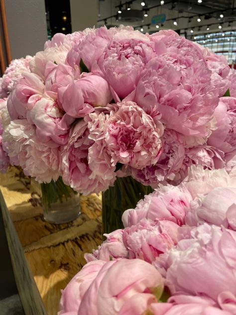 Pioneses Flowers, Front Porch Fence, Fence Makeover, Peonies In Vase, Diy Landscaping Ideas, Porch Fence, Rose Got, Aesthetic Garden, Boquette Flowers