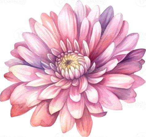 Chrysanthemum Flower Drawing, Chrysanthemum Drawing, Chrysanthemum Watercolor, Flower Chrysanthemum, Birth Art, Painting Flowers Tutorial, Art Assignments, African Art Paintings, Flower Art Drawing