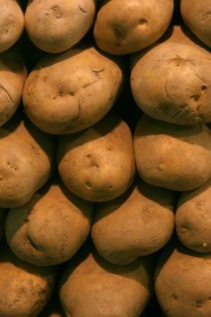 What Is An Irish Potato – Learn About The History Of Irish Potatoes The Irish Potato Famine is a harrowing time in history and some of you may not want to know more about Irish potato information, but it is important to learn about the history of Irish potatoes so it is not repeated. So, what is an Irish potato anyways? Click here to learn more. Potato Picture, Fall Garden Planting, Potato Famine, Uganda Africa, Irish Potato, Food Safety Tips, Irish Potatoes, Seasoned Potatoes, Fall Garden Vegetables