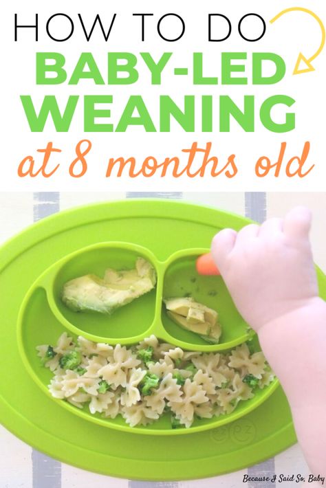 Easy Meal Ideas for an 8 Month Old | What to feed an 8 month old using baby-led weaning | 8 month old feeding schedule | 8 month old meal ideas | #babyledweaning #selffeeding #8monthold #feedingschedule #howto #nutritious #firstfoods Feeding 9 Month Old, What To Feed 8 Month Old, Good Ideas For 8 Month Old, 8 Month Old Solid Food Ideas, Baby Led Weaning 8 Months Old, Feeding Schedule 8 Month Old, 8 Month Feeding Schedule, Foods To Feed 9 Month Old, 8 Months Baby Food Recipes