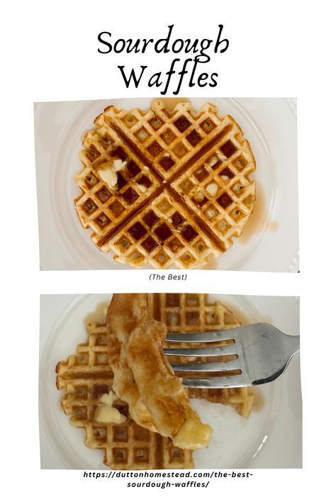 This is a delicious and easy sourdough waffle recipe! The perfect family breakfast, and the leftovers reheat wonderfully! Easy Sourdough Discard Waffles, Sourdough Starter Waffles, Sourdough Discard Waffles, Discard Waffles, Sourdough Waffle Recipe, Sourdough Waffles, Sourdough Breakfast, Cinnamon Waffles, Waffle Iron Recipes