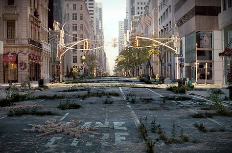 The emptying of New York City. New York City, in a scene from "I Am Legend" (Credit: Warner Bros. Pictures) Zombie Rpg, Apocalypse Landscape, Post Apocalyptic City, I Am Legend, Abandoned City, Apocalypse World, Apocalypse Aesthetic, Post Apocalyptic Art, Abandoned Cities