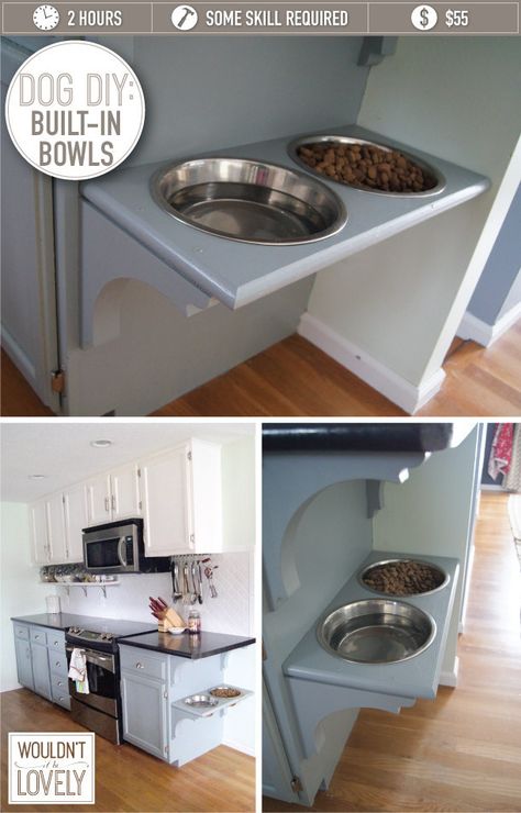 This awesome design allows for elevated food bowls, so you don’t have to worry about kicking them over! Pet Food Station, Elevated Dog Bowls, Clean Resume, Dog Rooms, Dog Bowl, Cv Template, Template Download, Diy Plans, Diy Stuffed Animals