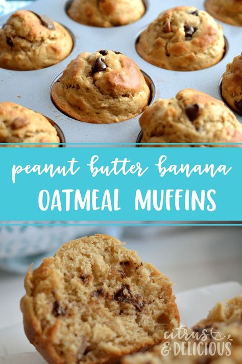 Sky high Peanut Butter, Banana and Oatmeal Muffins with chocolate and peanut butter chips scattered throughout the batter. This one bowl, no mixer required recipe makes delicious muffins in record time!  #muffins #breakfast #peanutbutter via @jessica_osmo Morning Snacks, Muffins With Chocolate, Delicious Muffins, Muffins Breakfast, Peanut Butter Muffins, Banana Oatmeal Muffins, Peanut Butter Banana Muffins, Sweet Bites, Oat Muffins