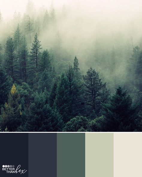 Color palette ideas, inspiration and colour swatches for home decor, design and blog themes. Bedroom Color Schemes Relaxing, Best Bedroom Colors, House Color Palettes, Forest Color, Color Schemes Colour Palettes, Forest Photos, Foggy Forest, Green Colour Palette, Bedroom Color Schemes