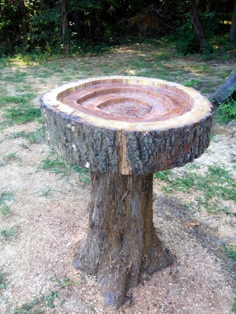 40 Uncommon Bird Bath Examples Stump Fire Pit, Bird Baths Homemade, Bath Design Ideas, Cedar Wood Projects, Bird Houses Ideas Diy, Diy Bird Bath, Home Yard, Diy Birds, Old Tree