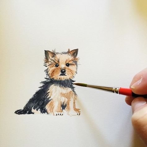 The 15 Most Realistic Yorkie Paintings Yorkie Painting, Top Dog Breeds, Tattoo Dog, Animals Watercolor, Yorkie Terrier, 강아지 그림, Yorkshire Terriers, Yorkshire Terrier Puppies, Lap Dogs