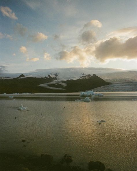 dreamscapes from Iceland 🌙💫✨ #analogphoto Film Photos, Film Photography 35mm, Exotic Places, Adventure Photography, Mountain Top, On Film, Beach Aesthetic, 35mm Film, Photography Portfolio