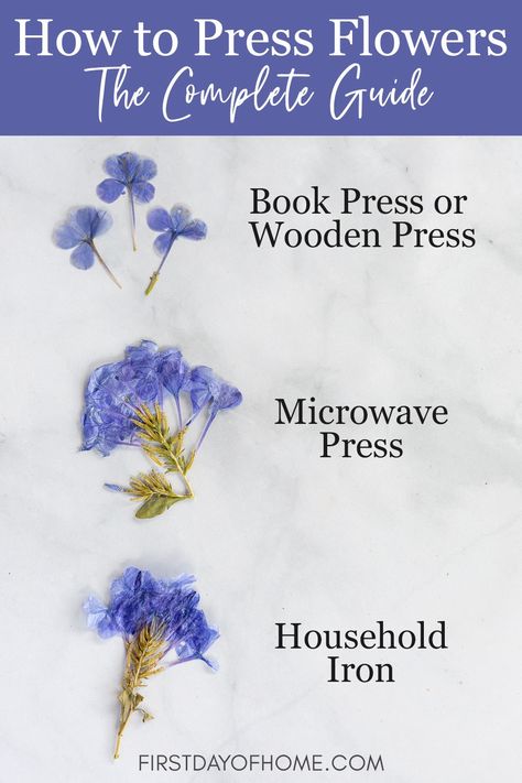 Get this beginner's guide to pressing flowers and see how each method compares. Learn the advantages and drawbacks of each type of flower pressing to decide which one is right for you. #pressedflower #pressedflowerart #flowerpress #flowercraft #firstdayofhome How To Press Flowers Quickly, How Press Flowers, Pressed Flower Bridal Bouquet, Diy Pressing Flowers, Drying And Pressing Flowers, Pressed Flowers How To, How To Do Pressed Flowers, How To Press Hydrangeas, Diy Flower Pressing