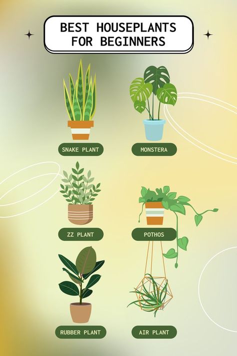 The best houseplants for beginners are snake plant, monstera, zz plant, pothos, rubber plant, and air plant. These plants are easy to care for and would get your indoor garden started! #LEDgrowlights #growlights #indoorplants #plants #indoorgardening Best House Plants For Beginners, Indoor Plants Beginners, Best Houseplants, How To Care For Plants Houseplant, Indoor Plants For Beginners, Easy Beginner Plants, Plants For Beginners Indoor, Houseplants For Beginners, House Plants For Beginners