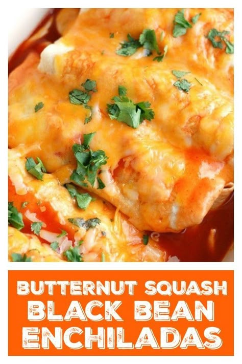 Butternut Squash Enchiladas, Butternut Squash Black Bean, Baked Butternut Squash, Black Bean Enchiladas, Vegetarian Enchiladas, Meatless Meal, Black Bean Recipes, Bean Enchiladas, Butternut Squash Recipes