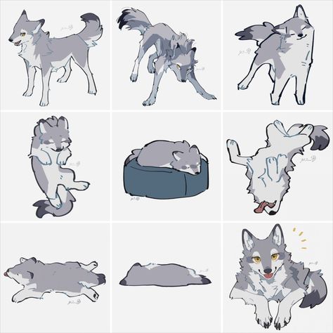 Wolfs by @rinrinwolf Wolf Drawing Bases, Wolf Poses Reference Photo, Canine Drawing Reference, Wolf Curled Up, Dog On Hind Legs Drawing, Wolf Sleeping Drawing, Chibi Wolf Drawing, Wolf Drawing Easy Step By Step, Dire Wolf Drawing