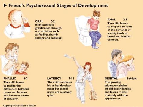 Freud Psychosexual Stages, Psychosexual Stages Of Development, Psychoanalytic Therapy, Psychosexual Stages, Freud Psychoanalytic Theory, Lmsw Exam, Lcsw Exam, Psychoanalytic Theory, Freud Psychology