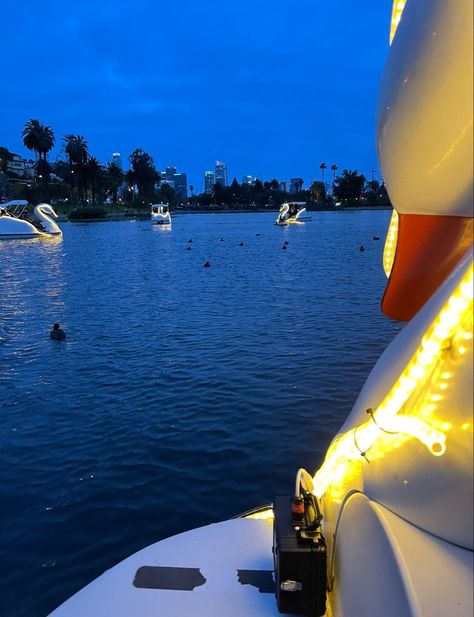 Swan boat ride Swan Boat Ride, Boat Date Night, Boat Date, Swan Boat, Swan Boats, Echo Park Lake, Night Date, Cute Date Ideas, Date Night Ideas