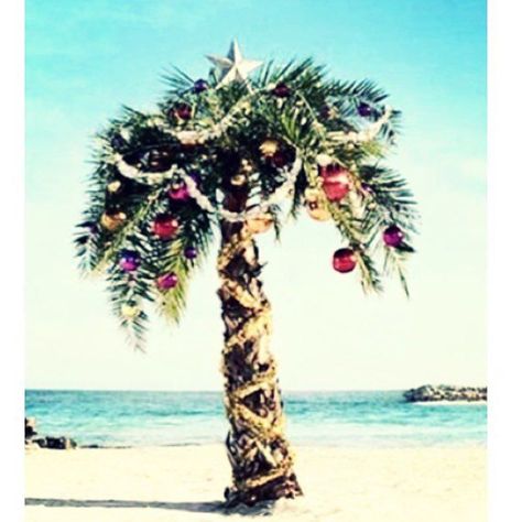 Merry Christmas Christmas Palm Tree, Florida Christmas, Hawaiian Christmas, Traditional Colonial, Tropical Christmas, Colonial Christmas, Merry Christmas Images, Beach Christmas, Coastal Christmas