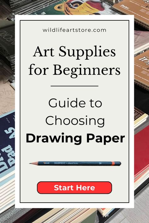 Art Supplies for Beginners: How to Choose Drawing Paper Drawing Supplies For Beginners, Sketchbook To Buy, Art Supplies For Beginners, Best Watercolor Paper, Drawing Materials, Types Of Pencils, Sketching Tools, Start Drawing, Art Advice