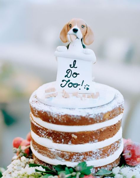 Couples Found A Way To Include Their Dogs Into Their Wedding And It’s Absolutely Pawsome | Bored Panda Grooms Cake Dog, Beagle Wedding, Beagle Cake, John Cake, Pooh Wedding, Dogs In Weddings, Cake Dog, Dog Cake Topper, Floral Wedding Cake