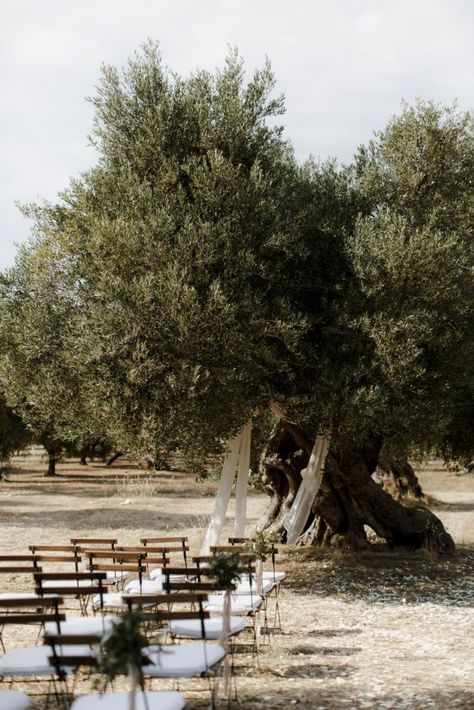 Wedding Nature, Destination Wedding Italy, Olive Grove, Wedding Ceremony Backdrop, Sustainable Wedding, Wedding Ceremony Flowers, The Lane, Countryside Wedding, Tuscany Wedding