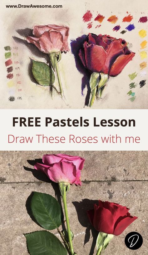 A poster for this lesson which shows the drawing of the two roses (one pink, one red) some text "Free Pastels Lesson, and the reference photo used to draw the roses from. How To Use Pastels, Paint A Rose, Different Roses, Oil Pastel Techniques, Art Demonstrations, Chalk Pastel Art, Soft Pastels Drawing, Painting Lesson, Two Roses