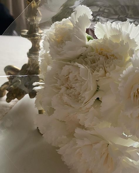 my favorite flowers are white carnations The petals look like little skirts and they always bloom for more than 2 weeks. And I mean… LOOK AT THEM! What are your favorite flowers? #freshflowerfriday #fridayflowers #flowerlovers #carnation #whiteflowers #treatyourself Carnation Flower Wedding, Carnations Aesthetic, Allura Vysoren, Naomi Core, Carnations Flower, White Carnations, Carnation Flowers, Dark Red Roses, White Carnation