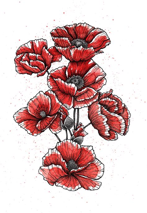 Some poppies for my mom on Behance Poppy Sleeve Tattoo, Transition Tattoo, Poppy Flower Aesthetic, Poppy Tattoo Sleeve, Traditional Poppy Tattoo, Red Poppy Tattoo, Poppy Flower Drawing, Poppy Flower Art, Poppy Flower Tattoo