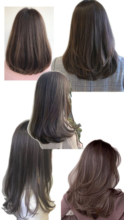 Long Hair Cuts Straight, Pretty Hair Cuts, Hair Stayl, Korean Hair Color, Inspo Hair, Straight Hair Cuts, Layered Haircuts For Medium Hair, Medium Layered Hair, Shoulder Hair