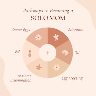 Once Upon a Bebe: Pathways to Becoming A Solo Mom At Home Insemination, Birth Control Detox, Single Mom By Choice, Home Insemination, Solo Mom, Embryo Donation, Contraceptive Pill, How To Get Pregnant, Ways To Get Pregnant