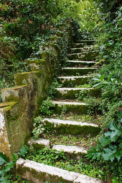 Old staircase overtaken by Mother Nature Rustic Landscape, Garden Rustic, Stone Steps, Garden Stairs, Stone Stairs, Garden Steps, Take The Stairs, Stairway To Heaven, Inverness